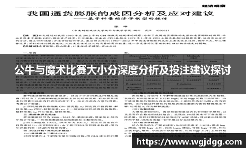 公牛与魔术比赛大小分深度分析及投注建议探讨