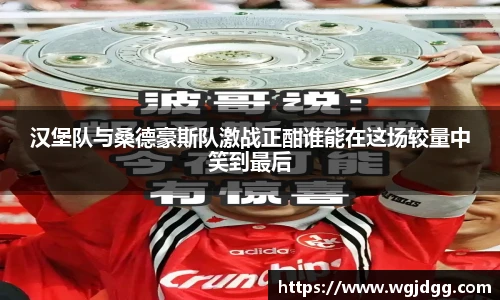 汉堡队与桑德豪斯队激战正酣谁能在这场较量中笑到最后